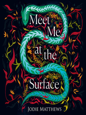 cover image of Meet Me at the Surface